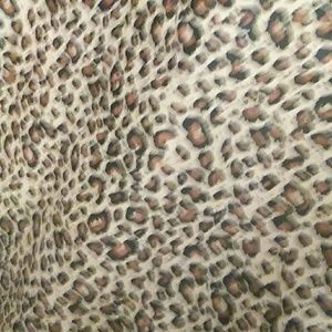 Meet your Posher, Peter